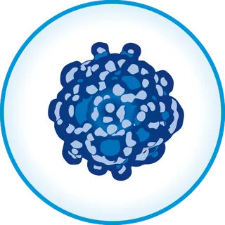 Cancer