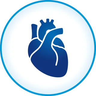 Cardiovascular